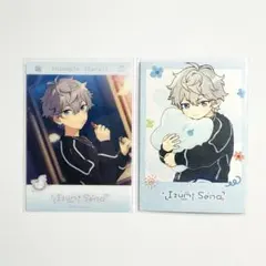 あんスタ　偶像夢幻祭　中国　童心珍蔵　チェキ　INS　カード　瀬名泉