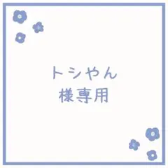 トシやん　