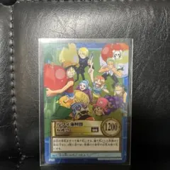 ONE PIECE ルフィ・海賊団 トレーディングカード旧　カードダス