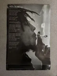 Item thumbnail for item e1786fdd-7ac8-46a7-acc6-7bfe703a5c86