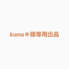 kuma＊様専用ページ シール4枚セット