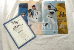 大谷翔平フィギュア、観戦証明書、クリアファイル 大谷翔平フィギュア、観戦証明書、クリアファイル 大谷翔平
