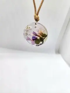 Item thumbnail for item 56840527-2378-46f1-8c49-e6364adbc20f