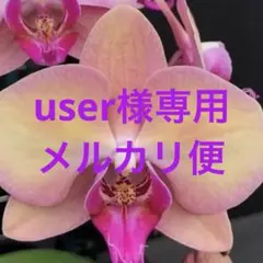 user_ee23f7bd様 リクエスト 3点 まとめ商品　メルカリ便