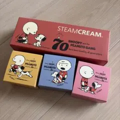 STEAMCREAM スヌーピー 70周年記念セット