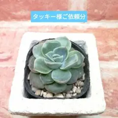 タッキー様 リクエスト 3点 まとめ商品