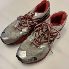 25cm THE NORTH FACE スニーカー シルバー レッド