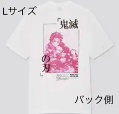 Item thumbnail for item 31584e10-cccc-4255-b592-f2668c3400a5