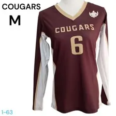 Item thumbnail for item a3e6a75a-fbdb-4145-b58a-368d3eed5026