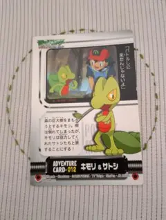 2026年最新】ポケットモンスター アドバンスジェネレーション かるたの