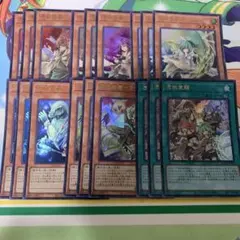 憑依装着 ウルトラ