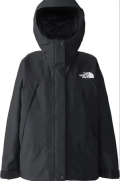 THE NORTH FACEノースフェイス マウンテンジャケットGORE-TEX