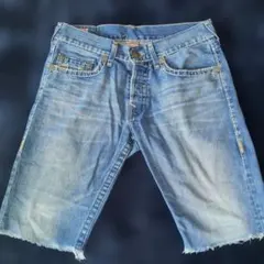 2026年最新】TRUE RELIGION デニムカラー：ライトブルー メンズ デニム