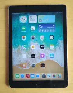 ★iPad Air2 16GB wi-fi モデル 美品★