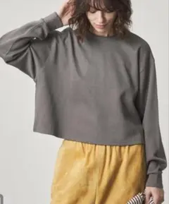 あゆみん様専用