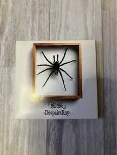 2025年最新】D espairsrayの人気アイテム - メルカリ