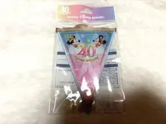 東京ディズニーリゾート ディズニーランド40周年 ドリームガーランド　ガーランド