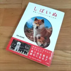 Item thumbnail for item c021b199-7c3d-4672-96e8-c519a428fd96