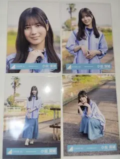 小坂菜緒 生写真 コンプ 卒業写真 僕なんか スタイリング ドーム 脈打つ感情 小坂菜緒 生写真 コンプ 卒業写真 僕なんか スタイリング ドーム
