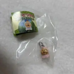 こびとづかん めじるしアクセサリー カクレモモジリ