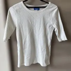 最終値下げ！BLUE LABEL 半袖Tシャツ