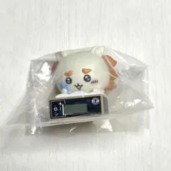 【未使用】ちいかわ いっしょにがんばろ！ダンボールウォッチ2／シーサー