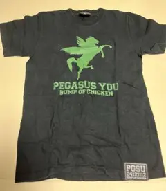BUMP OF CHICKEN Pegasus youパーカーとポーチ 2025年最新】bump of chicken pegasus youの人気アイテム - メルカリ