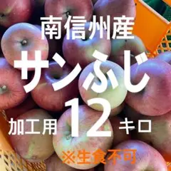 南信州産サンフジ加工用12キロ※生食不可
