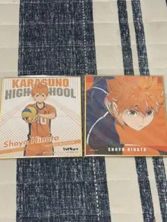 ハイキュー色紙 日向翔陽セット