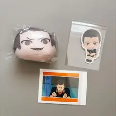 ハイキュー 田中龍之介 まとめ売り