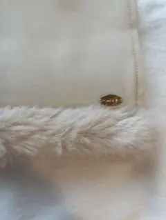 Item thumbnail for item e45ec523-b734-4cb3-864a-7f3b8d2e88cd