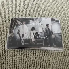 Quiss the 12012 Wild Flower juri YOMI 淳