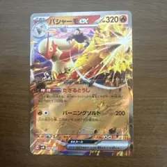 バシャーモex たぎるとうし