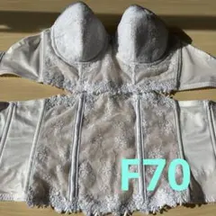 ワコール　ブライダルインナー　F70 2025年最新】f70 ワコール ブライダルインナーの人気アイテム