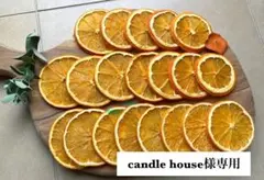 candle house様専用、ドライフルーツ、柑橘類、グリーンキウイ、素材