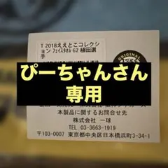 ぴーちゃんさん専用　　♯62植田選手