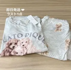 2026年最新】ジェラートピケ トイプードル tシャツの人気アイテム