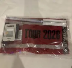 (R)MPGランペ アプグレ フラッグタオルIDパス THERAMPAGE