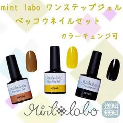 【新色 送料無料】 １ステップジェル べっ甲カラー３色セット