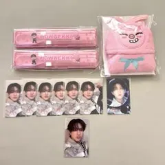 スキズ チャンビン エコパ 購入特典トレカ トェッキ カトラリー タオル