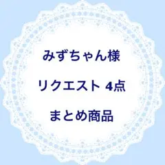 みずちゃん様 リクエスト 4点 まとめ商品
