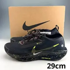 29cm ナイキ ペガサストレイル5 ゴアテックス "ブラック/ファントム”のサムネイル