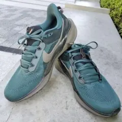 川*歌様 ［NIKE］NIKE　ペガサス41　ランニングシューズ