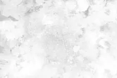 Saki様専用ページ