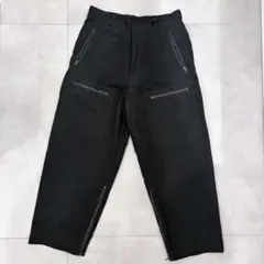 blurhms Brushed Twill Mechanic Pantsのサムネイル