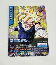 s*n様 ドラゴンボールデータカードダス　孫悟飯　少年期