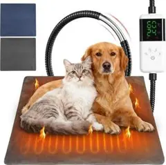 Item thumbnail for item 9f5174bb-fe02-437f-b6fc-5b0b3b2250ef