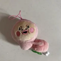 こびとづかん カクレモモジリ ぬいぐるみマスコット