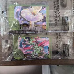 ポケモンフレンダ タケルライコ＆テツノイサハ