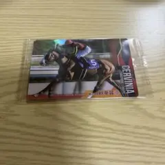 サラブレッドホース　ウエハース　チェルヴィニア　ノーマルカード　ルメール